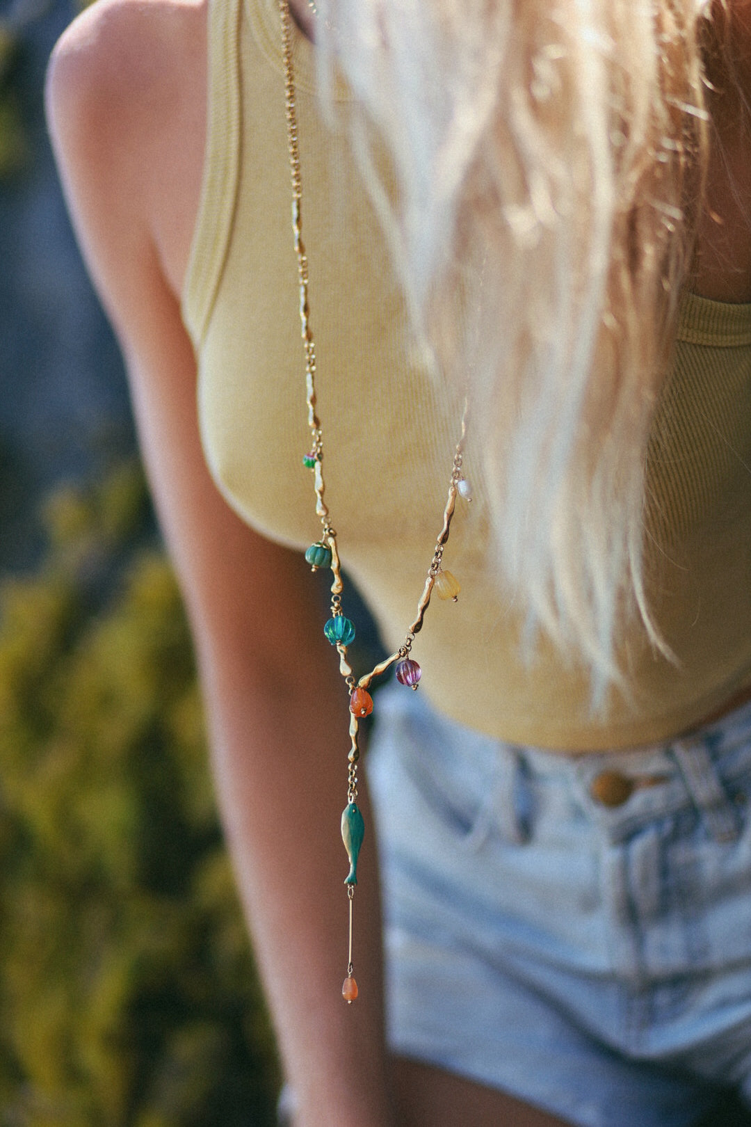 Collar Nova